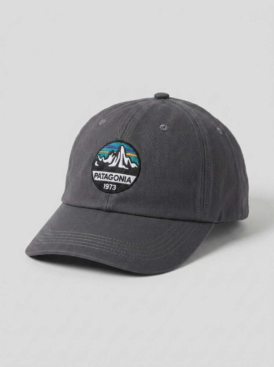 Patagonia 1973 Grey Embroidered Baseball Cap