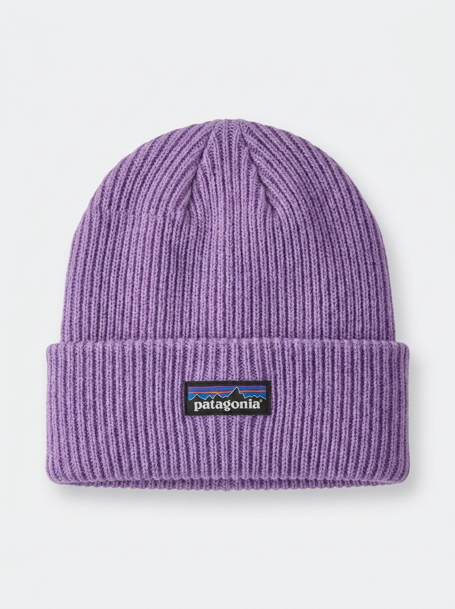 Patagonia Fisherman's Rolled Purple Beanie