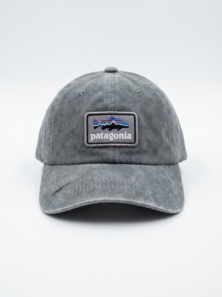 Patagonia Grey P-6 Logo Fitz Roy Trout LoPro Trucker Hat