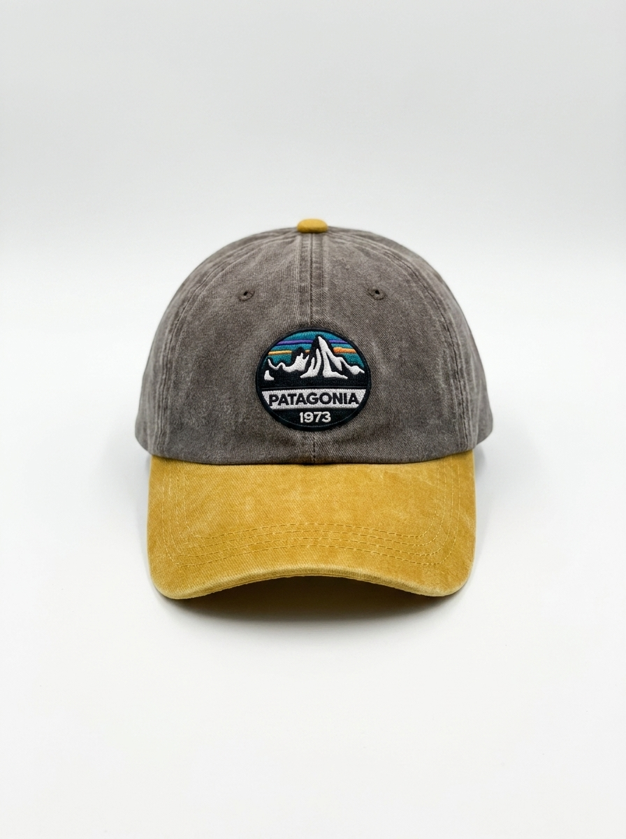 Patagonia Heritage 1973 Earth Tone Baseball Cap
