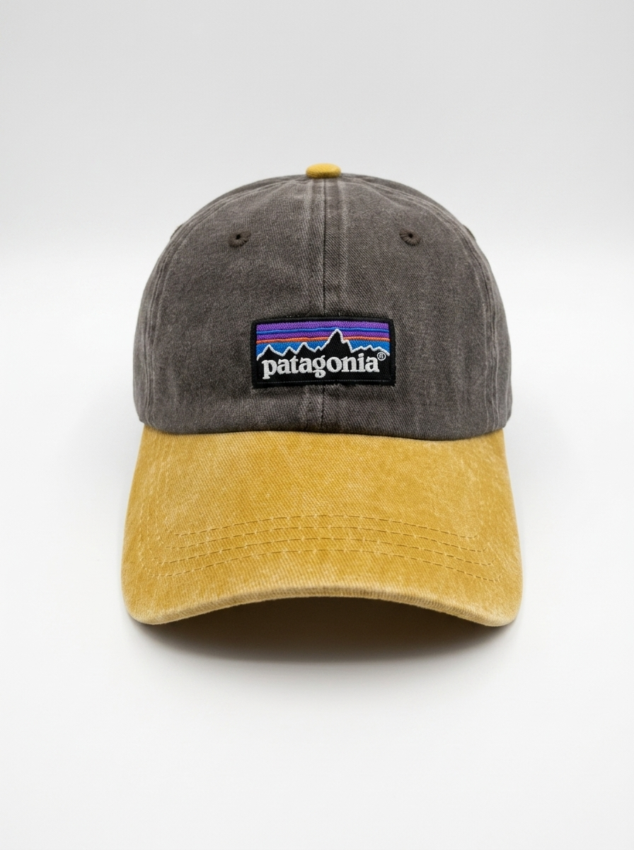 Patagonia Unisex P-6 Label Trad Cap Ash/Gold