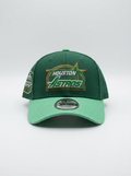 New Era Houston Astros 9FORTY Two-Tone Green Adjustable Hat