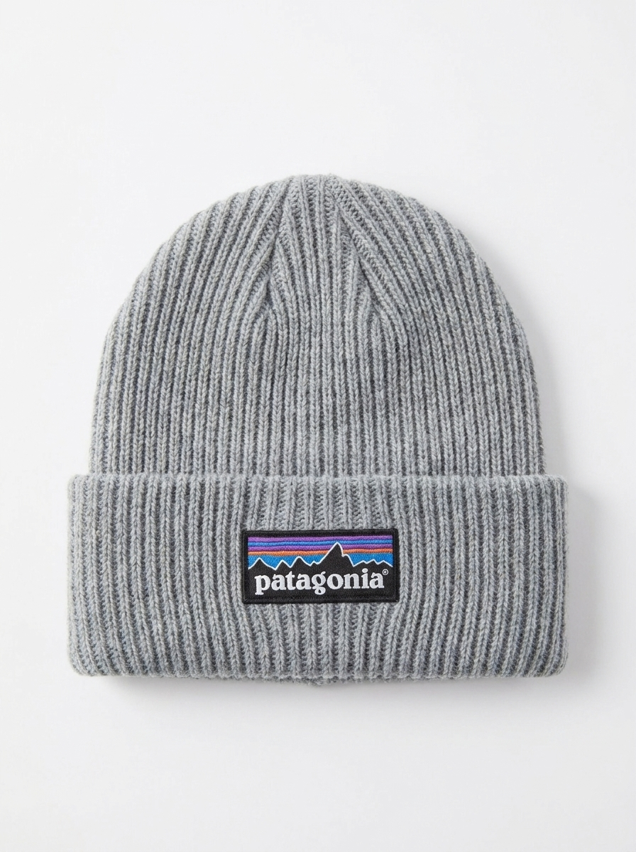 Patagonia Fisherman's Rolled Beanie Heather Grey