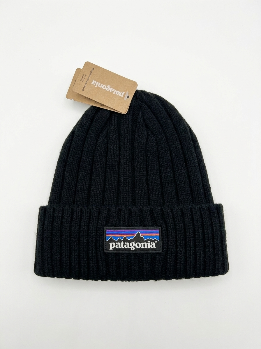 Patagonia Fishermans Rolled Beanie Classic Black