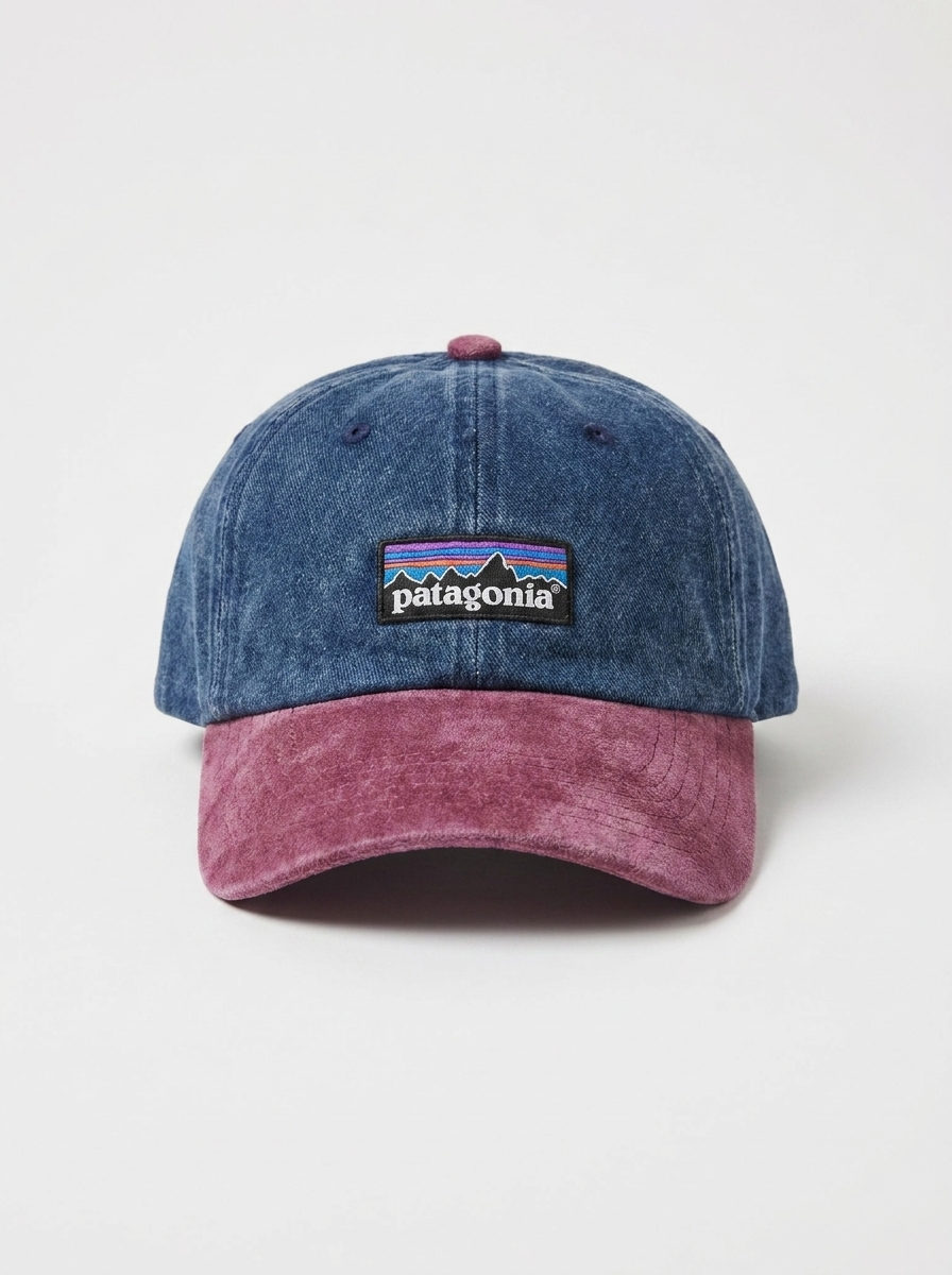 Patagonia Denim & Corduroy Two-Tone P-6 Label Cap