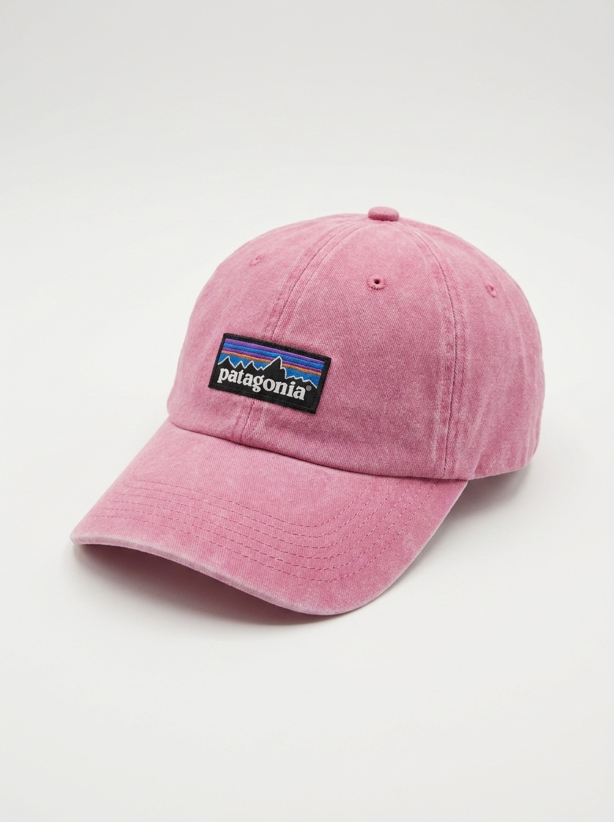 Patagonia P-6 Logo Rose LoPro Trucker Hat