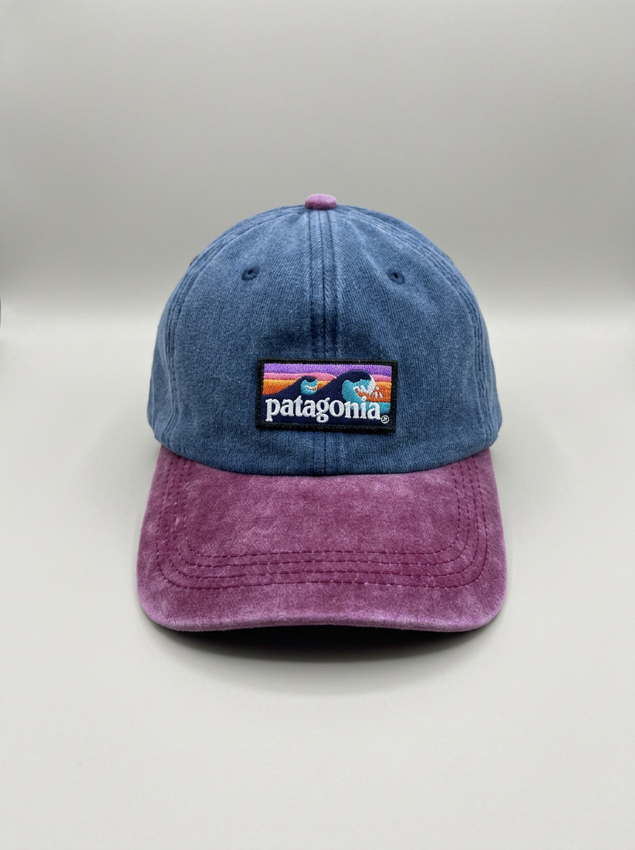 Patagonia Blue Denim & Magenta Baseball Hat