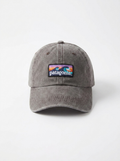 Patagonia Forge Grey Boardshort Logo LoPro Trucker Hat