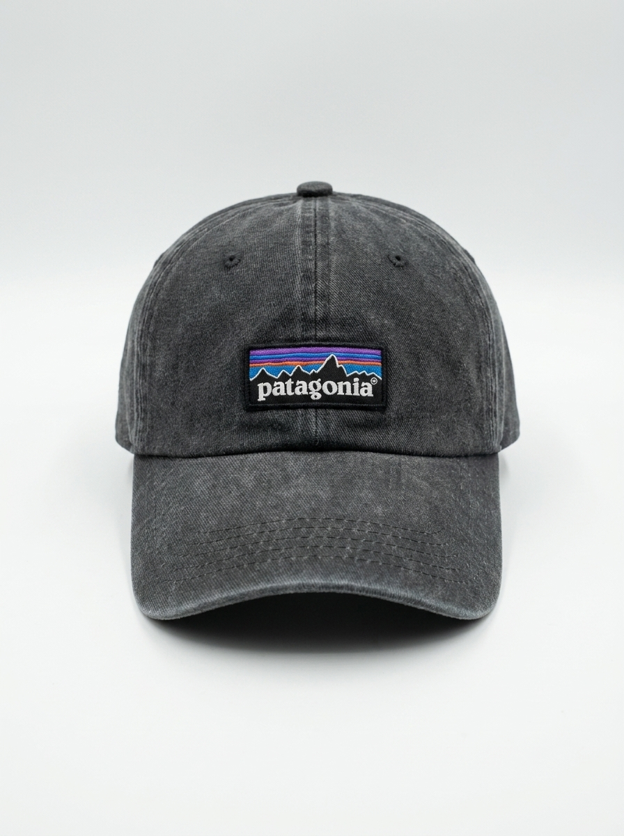 Patagonia Black P-6 Logo LoPro Trucker Hat