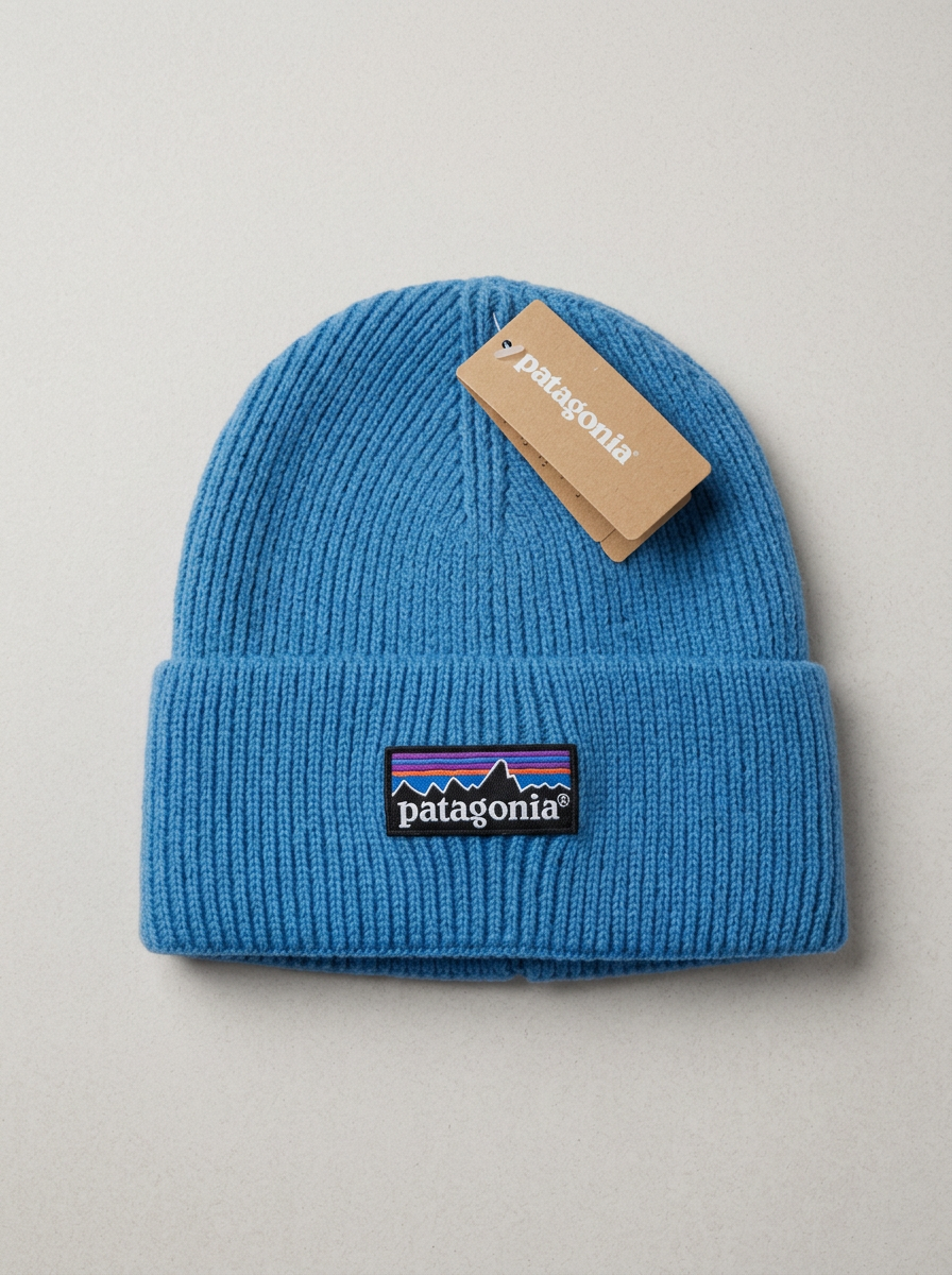 Patagonia Fisherman's Rolled Sky Blue Beanie